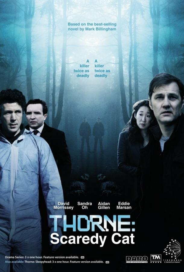 Торн: Пуганая ворона (2010)