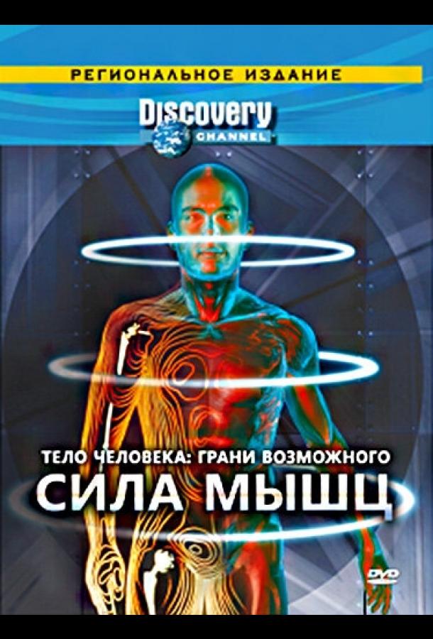 Тело человека. Грани возможного (2008)